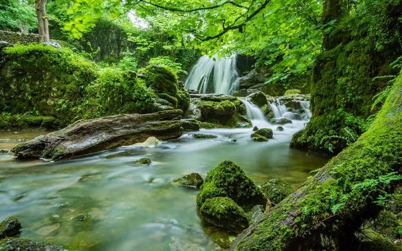 智能化高性能